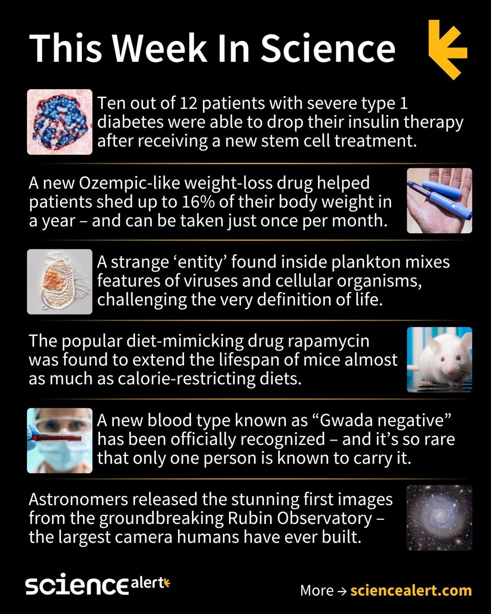 ScienceAlert's tweet image. This Week In Science (June 22–28)🧪

Stem cell therapy for diabetes, a rare new blood type, the largest camera ever built, and much more!

Links to the full articles in thread 🧵 

#ScienceNews #ScienceAlert #STEM #ThisWeekInScience #TWIS