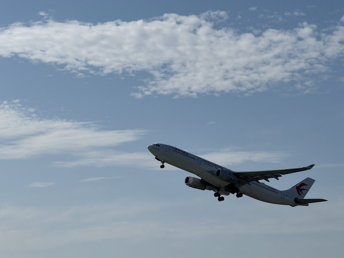 初の徒歩羽田してた
全部逆光