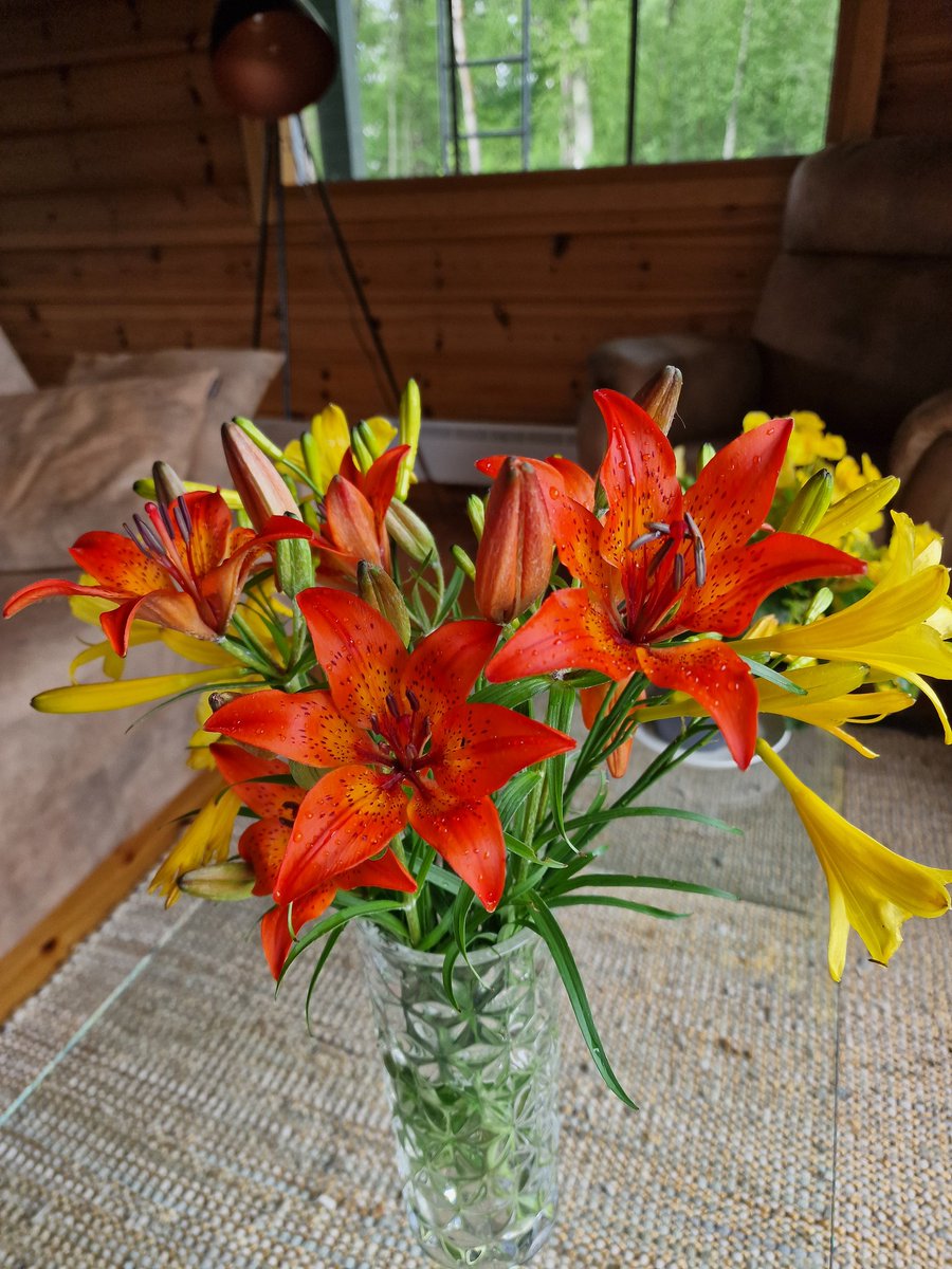 Liljamaan liljamaasta liljoja 😊