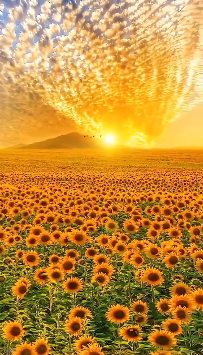 Written in the wind - Magna Carta. 💛💛youtu.be/nOzpW3aF6hw?si… 💛💛 Siempre queda algo escrito en el viento. 🎸🎸🎸🎸🎸🎸🎸🎸🎸🎸🎸🎸🎸🎸🎸🎸🎸🎸🎸🎸🎸🎸🎸🎸🎸🎸🎸🎸🎸🎸🎸🎸🎸🎸🎸🎸🎸🎸🎸🎸🎸🎸🎸Feliz finde 💛💛☀️☀️