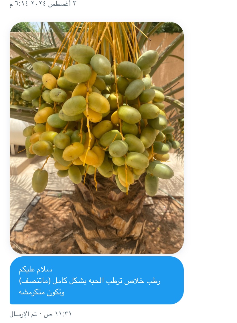 mmmhmmmd3's tweet photo. @agri_ext https://t.co/VACRjmMoDh
