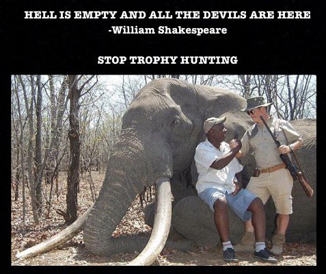 #ThoughtForTheDay 

‘Hell is empty and all the devils are here’ ~ William Shakespeare.

SHARE if you want a GLOBAL ban on #TrophyHunting NOW! 🚫