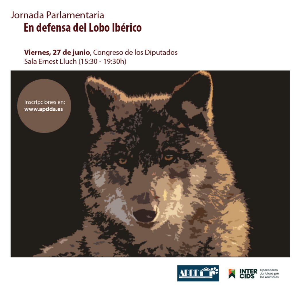 Jornada parlamentaria en defensa del lobo ibérico.
Gran nivel científico y el honor de participar en un encuentro imprescindible para una especie tan emblemática
Recomendable escuchar las ponencias app.congreso.es/AudiovisualCon…