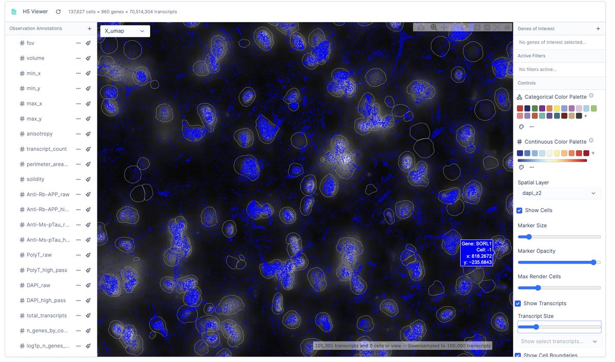 Software for spatial biology is so beautiful to look at.