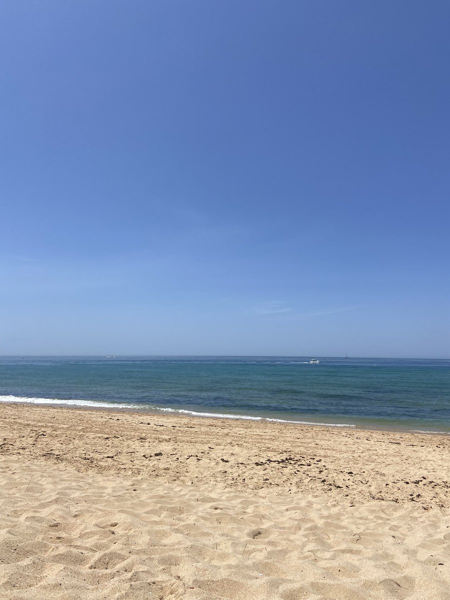 dov (@dovvvveth) on Twitter photo Glorious Morning!
Before you ask “where photo with <a href="/PythNetwork/">Pyth Network 🔮</a> merch”, I forgot it at home.
Have a nice weekend 🔮 Glorious Morning!
Before you ask “where photo with <a href="/PythNetwork/">Pyth Network 🔮</a> merch”, I forgot it at home.
Have a nice weekend 🔮