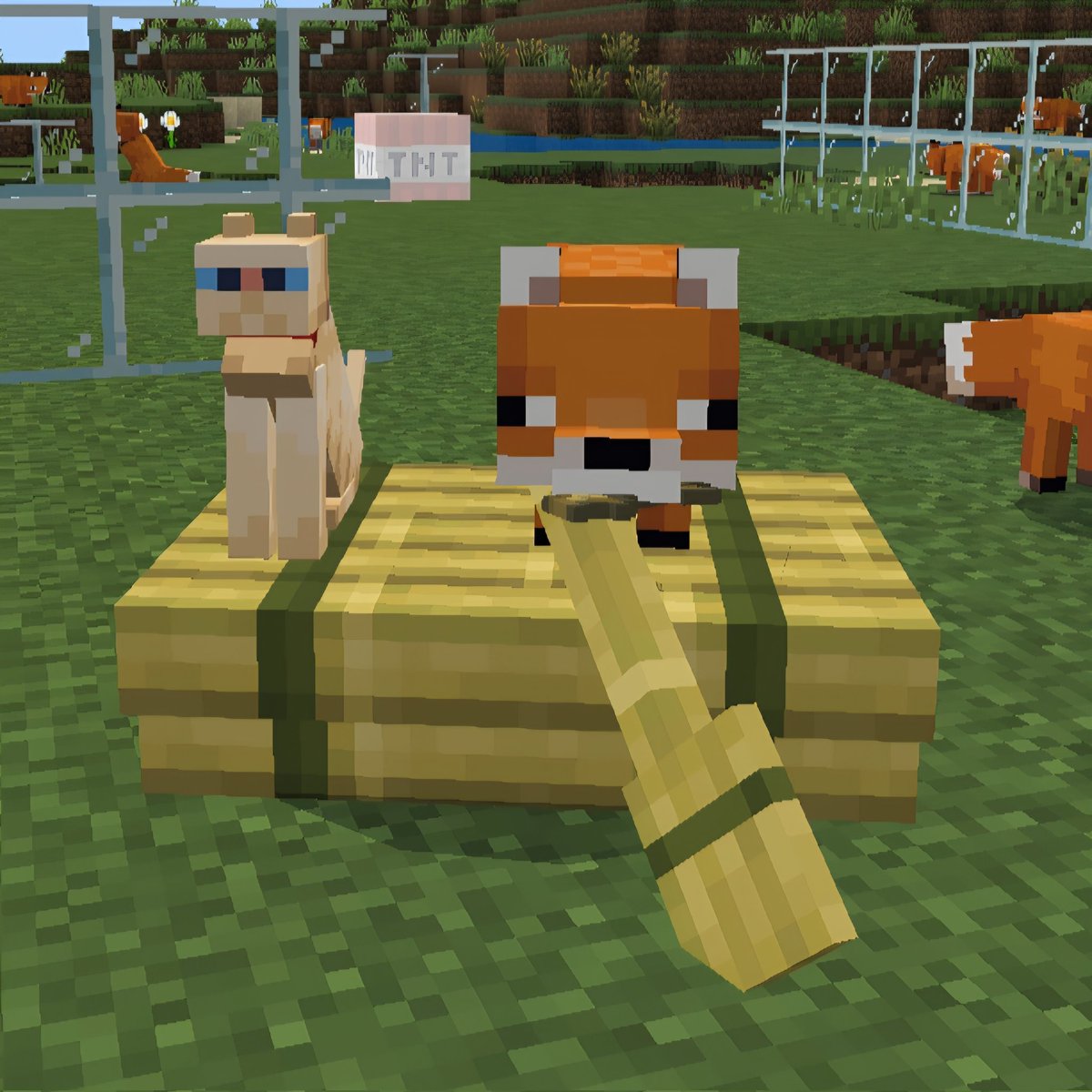_pm850's tweet image. 