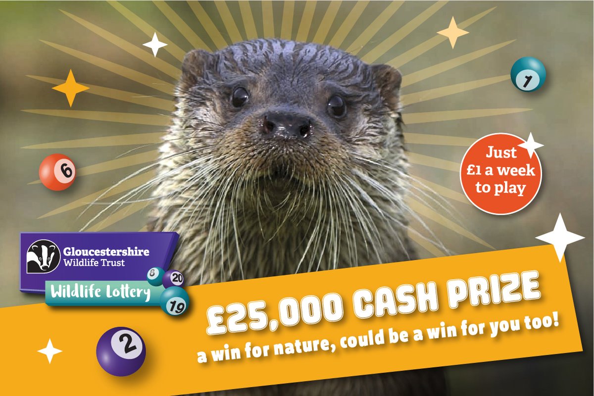 🦋 Sunday vibes = birdsong, brunch, blue skies and a big chance to win £25,000. 

Play the Wildlife Lottery and make a real difference for wildlife across Gloucestershire. 

Play today: ow.ly/UJW750TIJQ9 

#wildlifelottery #gloswildlife #GWT