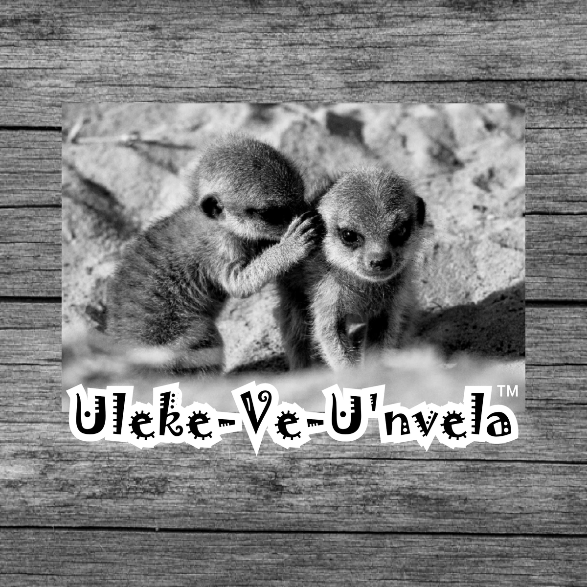 MwendalubiH's tweet photo. @ssishuwa A'leke va A'nvela https://t.co/B9AqejSIrj