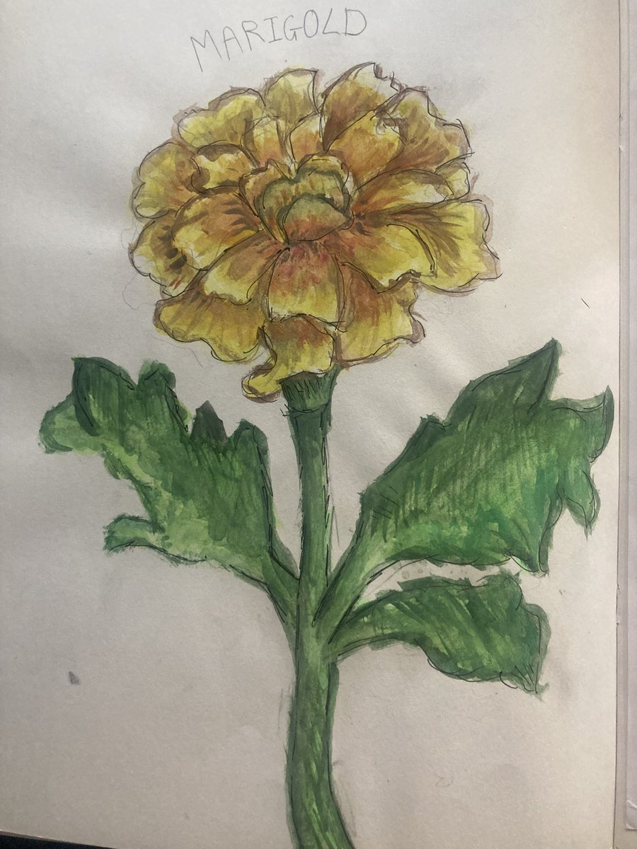 Dempsey_art's tweet image. Year 8 HW highlights from recent weeks @KelmscottSchool 🔥