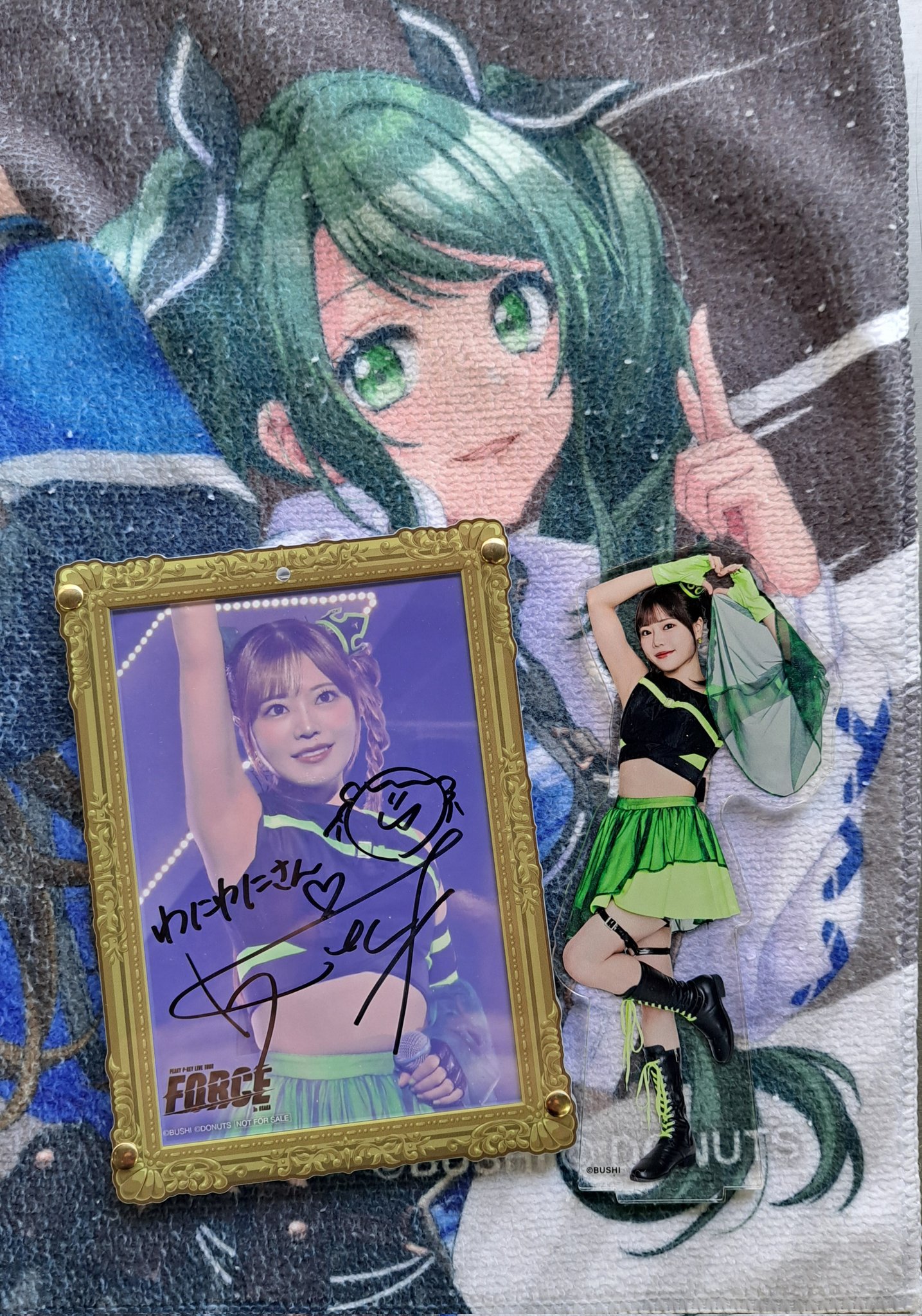 わにわに on X: 