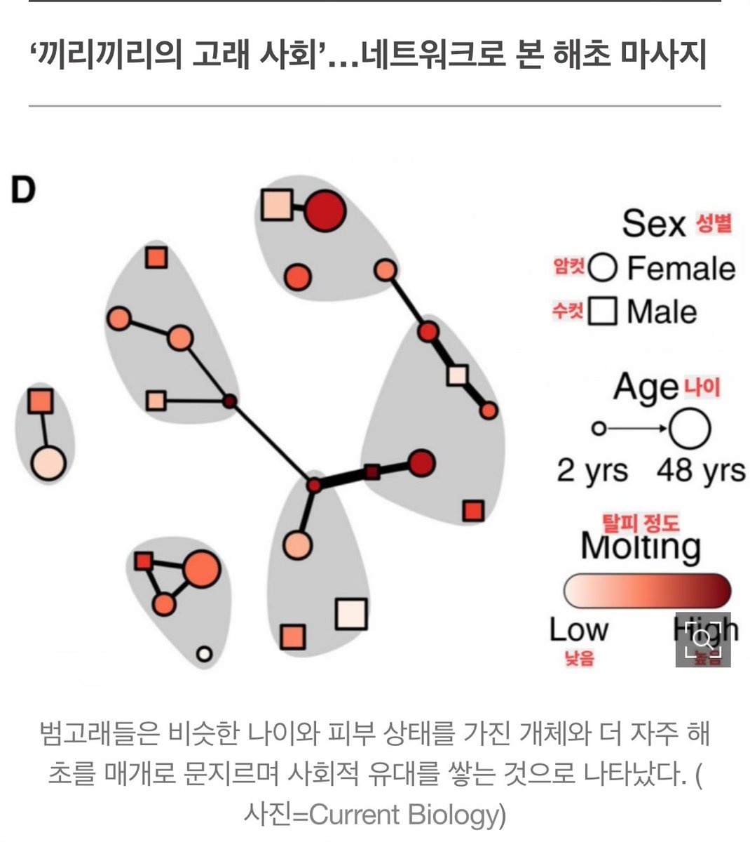 가운데쯤 사이중앙성 높아보이는 꼬마범고래는 마치 얼집 인싸와 같구나 싶어서 웃었다