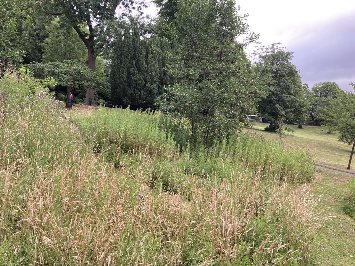 Waterlow Park (@waterlowpark) on Twitter photo Will the upcoming #Butterfly Workshop & Walk find this is still the spot they like best in the park? Book your place for 19 July to hear expert Steve Bolton 10-1pm at #lauderdalehouse to find out. Book here vivien.priestley@gmail.com Will the upcoming #Butterfly Workshop & Walk find this is still the spot they like best in the park? Book your place for 19 July to hear expert Steve Bolton 10-1pm at #lauderdalehouse to find out. Book here vivien.priestley@gmail.com