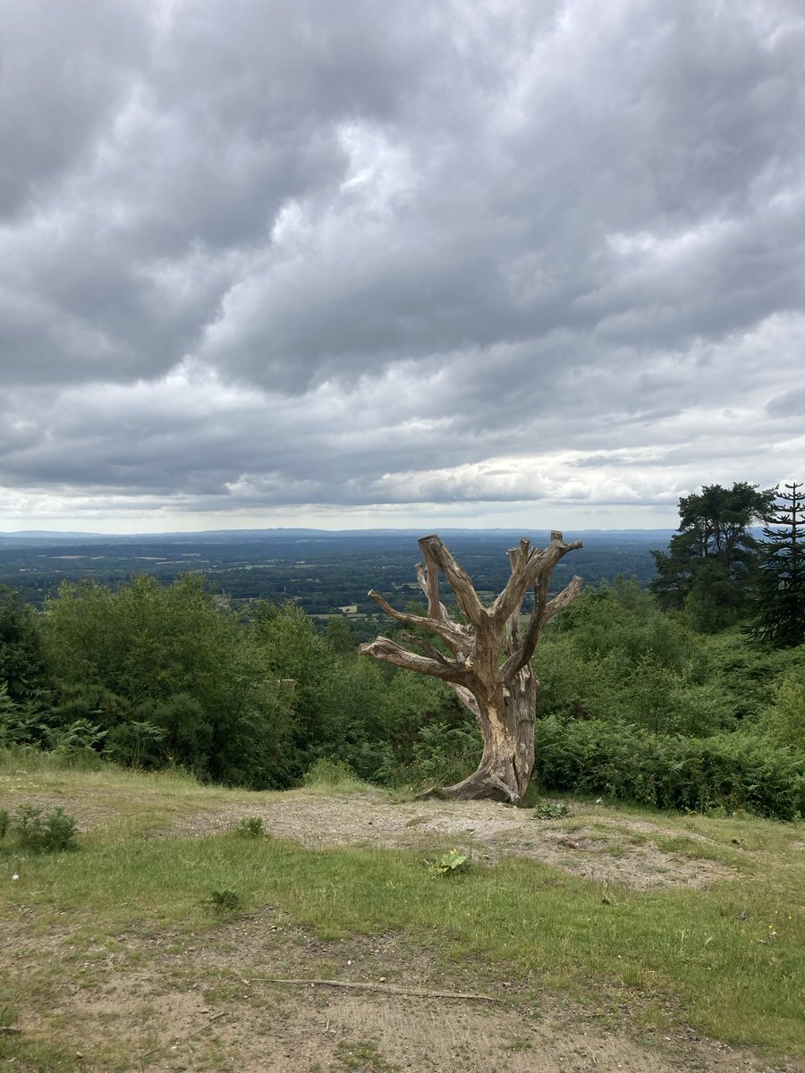 Gravel Ride - Leith Hill - on a clear day you can see the Channel 🤔