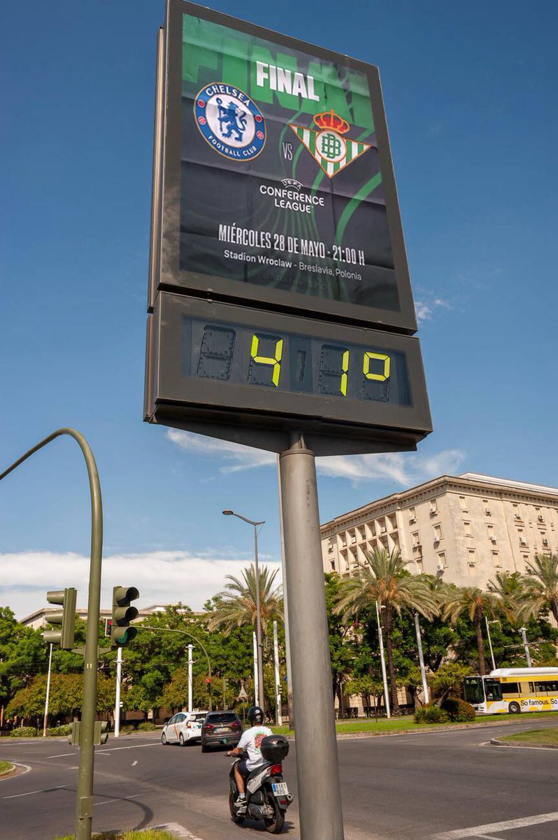 Míster SFC tweet media