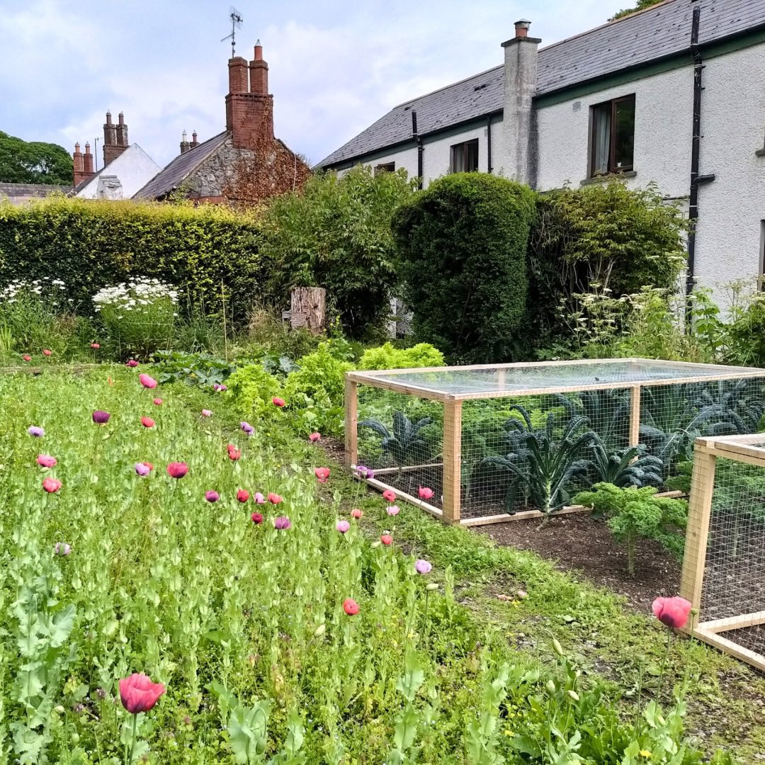 Ghan House tweet media