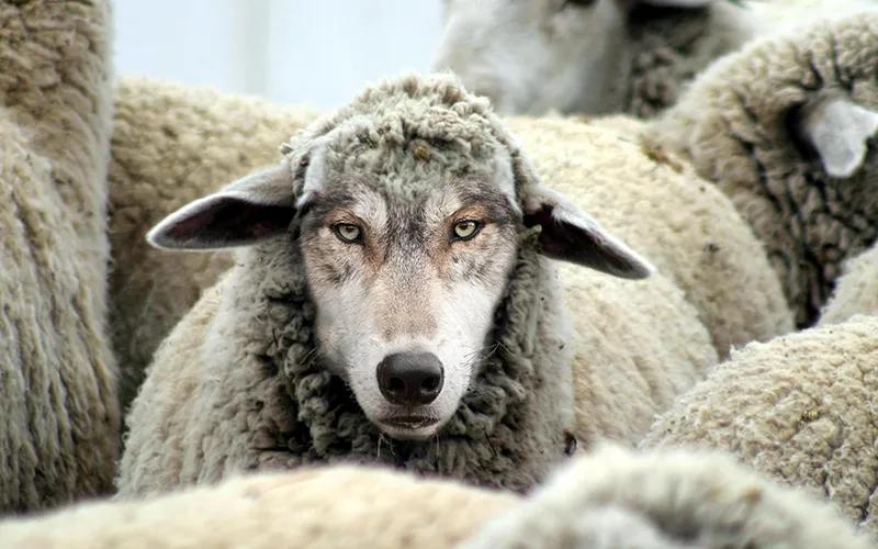CryptoMan_Ram's tweet photo. Takeways from Solana Accelerate + TradFi chats in NYC:

- Degens run Solana.
- No-coiners run Wall Street.

Everyone thinks they’re right.

Meanwhile at @routerprotocol:

– Infra going Nitro
– Solver model getting better
– B2C for the real ones
– Labs shipping stealth-mode wins https://t.co/BIhmc7Gzlv