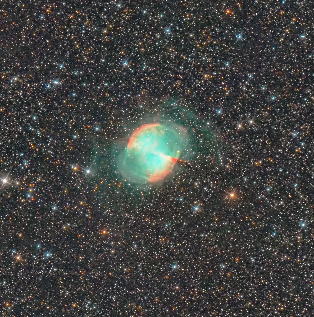 m_aquarock's tweet image. M27 こぎつね座 2025.06.28
昨晩、最後に撮った亜鈴状星雲(撮ったのを忘れてた)
例の羽根が写ると良いなーと派手めに処理したら薄っすら見える…様な気がする。スマホのフォトアプリのお陰です。
Quattro200p+SV605CC+CBP
60min LiveStacking Trimming