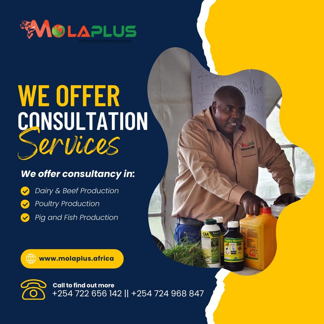 To ensure profitability, lower the cost of production, and turn Dairy, Poultry, Fish, and Pig farming into viable businesses, contact us for consultation and training services.