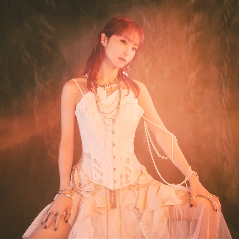 おしらせ】 #LiSA の新曲「残酷な夜に輝け」の作家情報が公開されまし