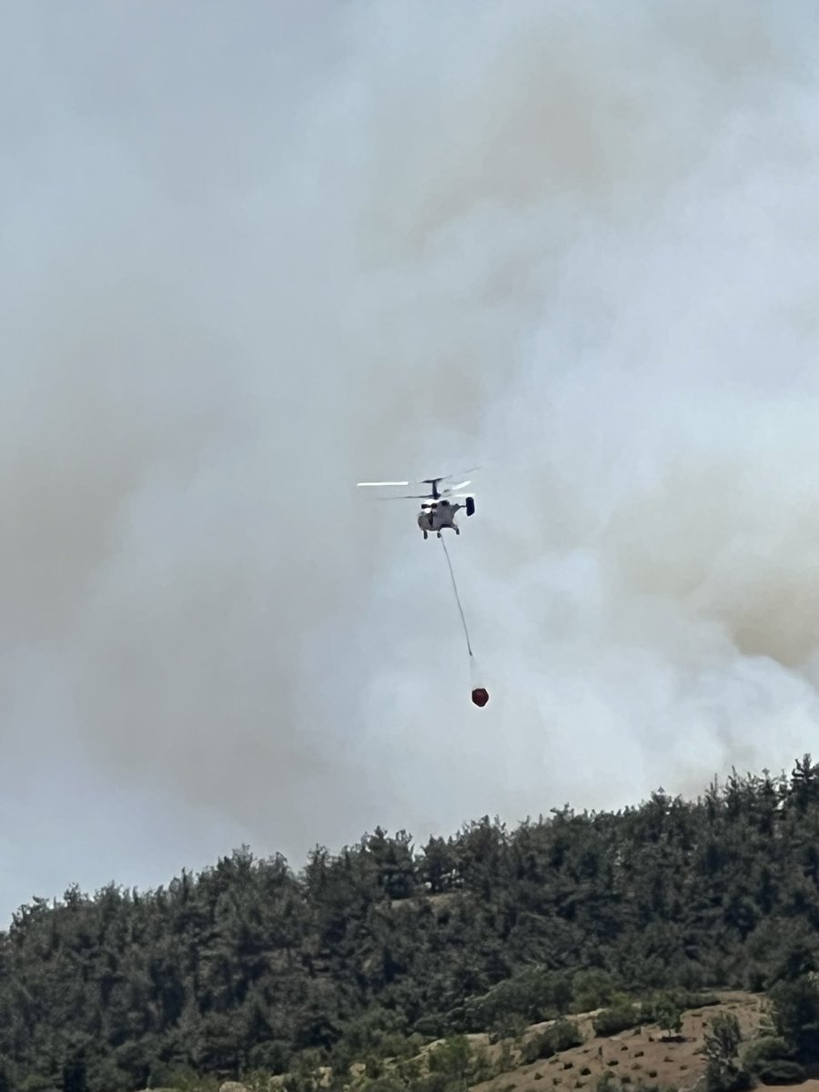 Sakarya Taraklı yangın büyüyerek devan ediyor 🔥