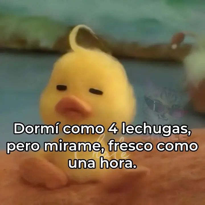 En_jupiter_'s tweet image. 