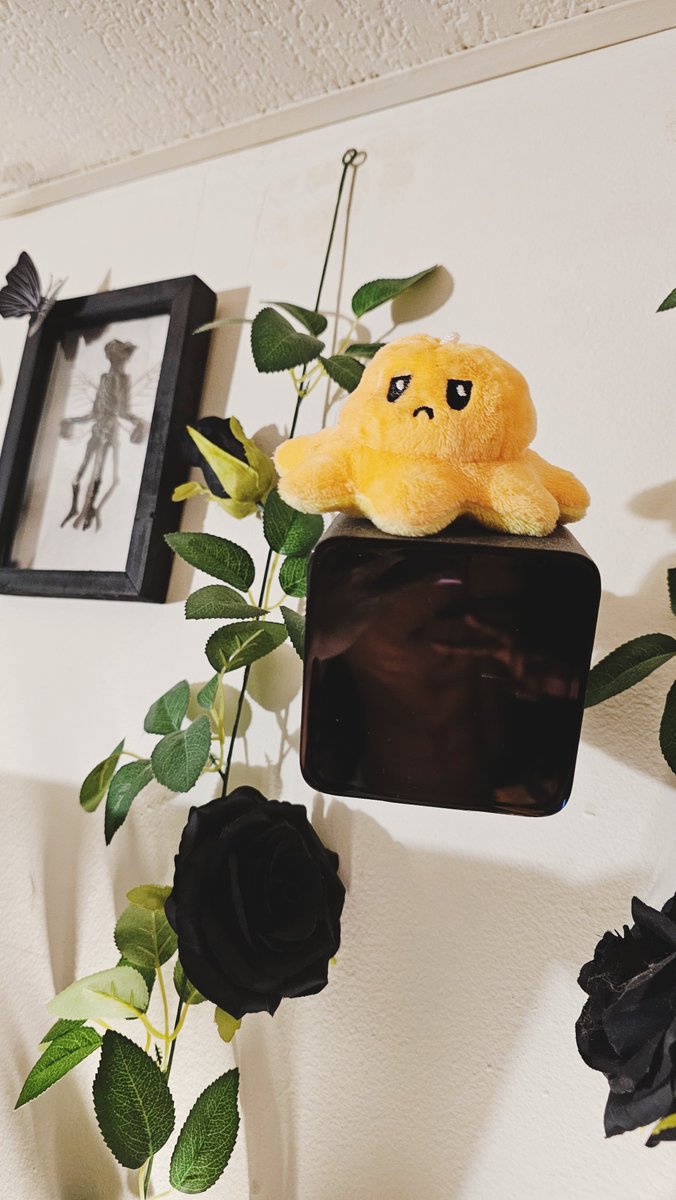 3years of lewdtubing
10+ of amateur porn

I need to start getting serious (content wise)