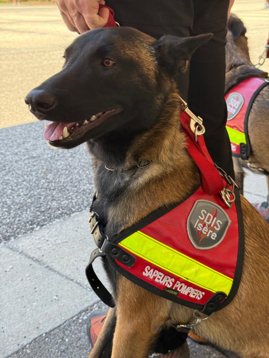 Sapeurs-pompiers de l'Isère - SDIS38 tweet media