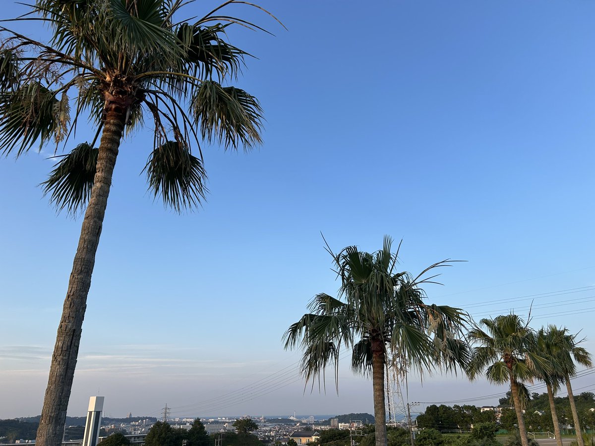 This is the sky at dusk. Today was a hot day with temperatures over 30 degrees Celsius, but I'm glad the weather was good.😄