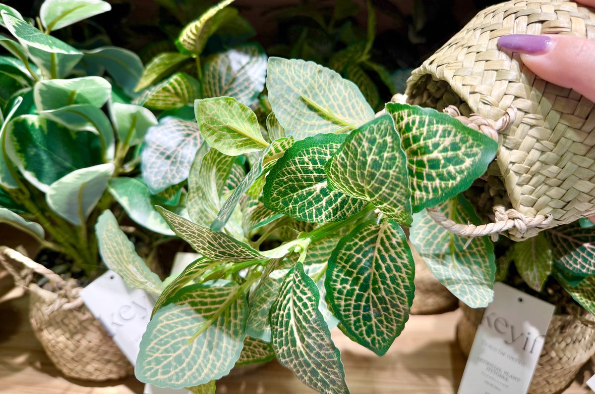 スリコ可愛いの沢山入荷してるじゃん♪

フェイクグリーン入れ物可愛い
砂利もフェイクだからひっくり返しても落ちない！

砂時計可愛い

ガラスのオブジェだけど
これいつも花を生けるときに使ってるガラスの剣山そっくり笑