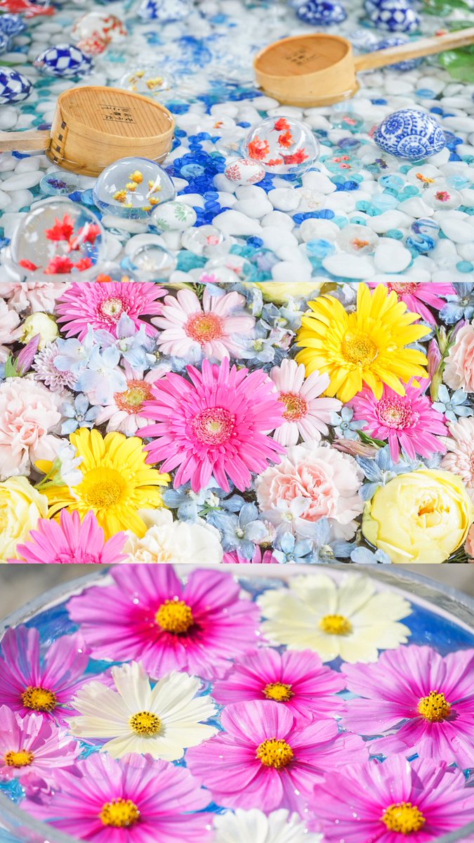 涼やで華やかな花手水｡