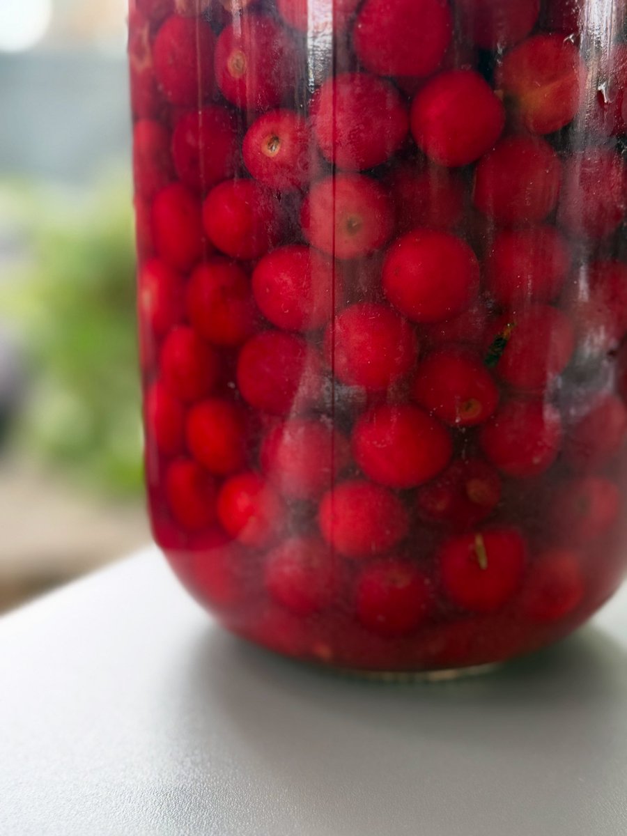 It’s a great year for cherries 🍒 
My dad’s morello tree is absolutely loaded. I stoned over a kg but this bunch are steeping to be incorporated into a drink at a later date.