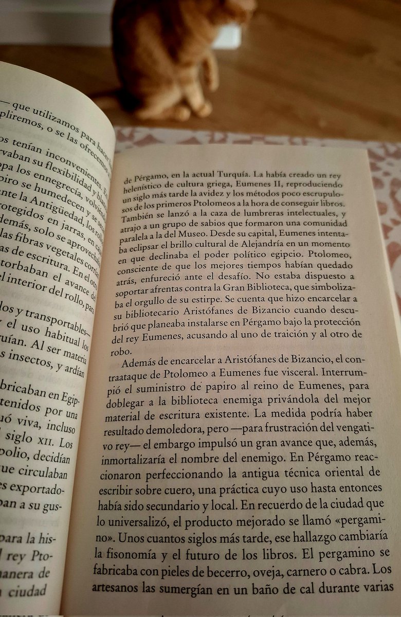 aliciareyplane1's tweet photo. Historia del conocimiento 📜❤️🔥 #Elinfinitoenunjunco #bibliotecadealejandria
#lecturadeverano🐅📚
@irenevalmore https://t.co/6BnpNdqprw