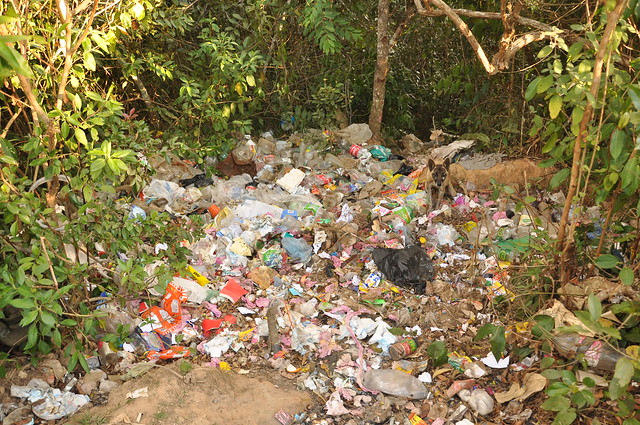 CampBesania's tweet photo. Caring for the land isn’t a one-time clean up it’s a daily promise. 🌱
Protect the soil where our trees and plants grow.
Let’s start here: Stop dumping. It pollutes the land and stunts plant growth.
The earth is the only one we’ve got. 🌍
#stopdumping #EnvironmentalProtection https://t.co/wo9iPIGXsd