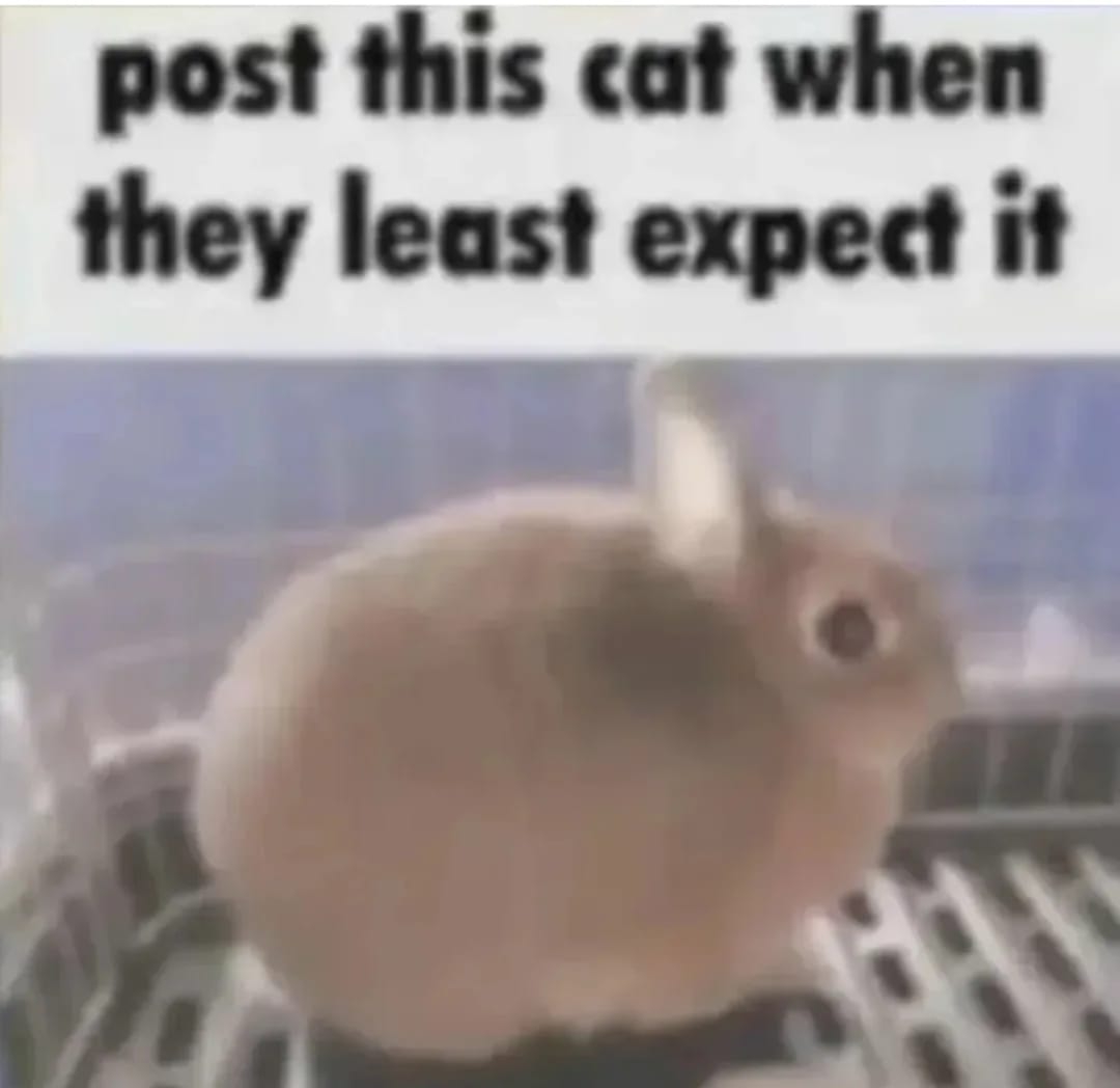 bnu 🐇🍓 (@bunnyluvr__) on Twitter photo 