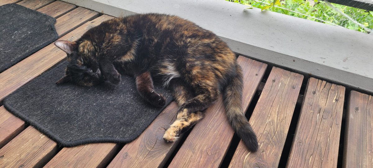 Мои планы на выходные