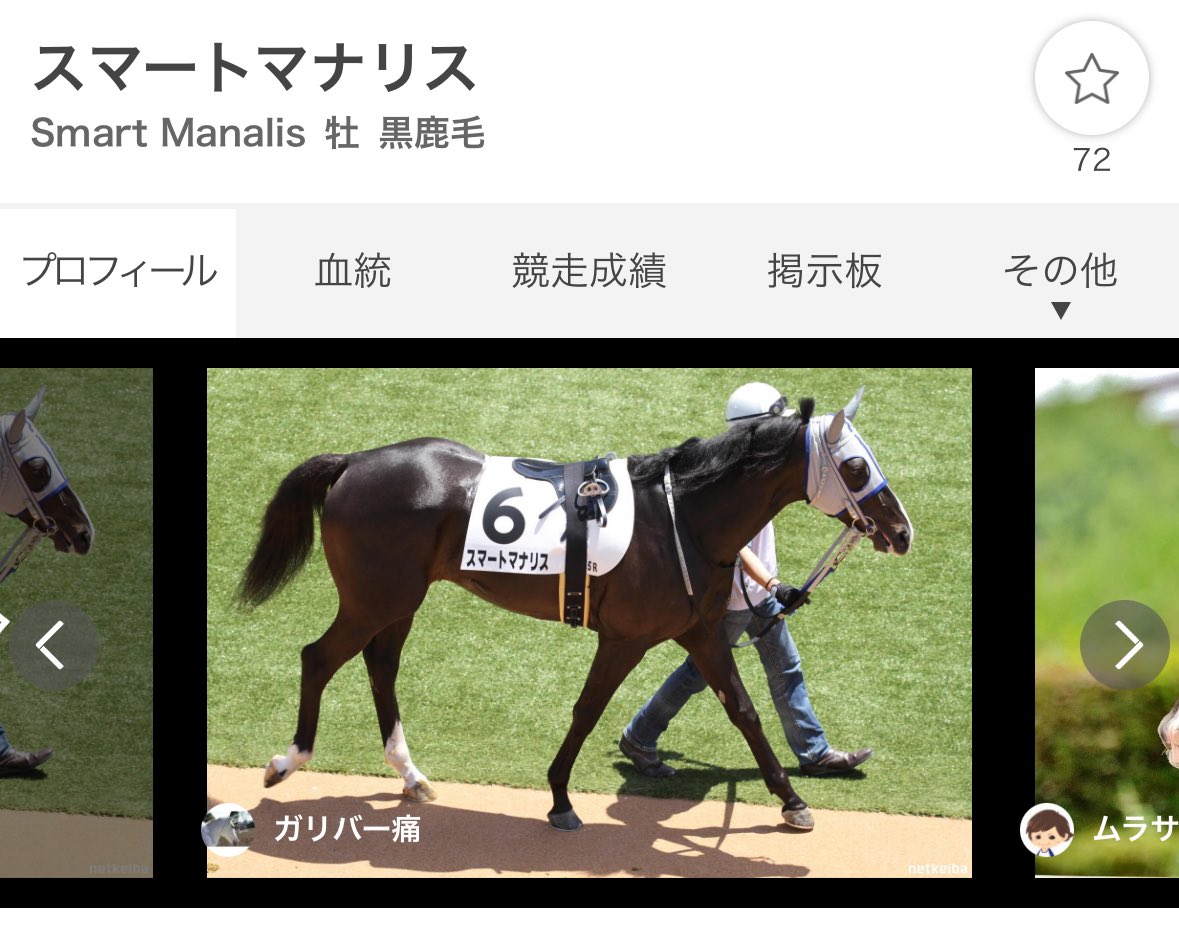 100リツイートされたら

この馬に単勝5万円使う