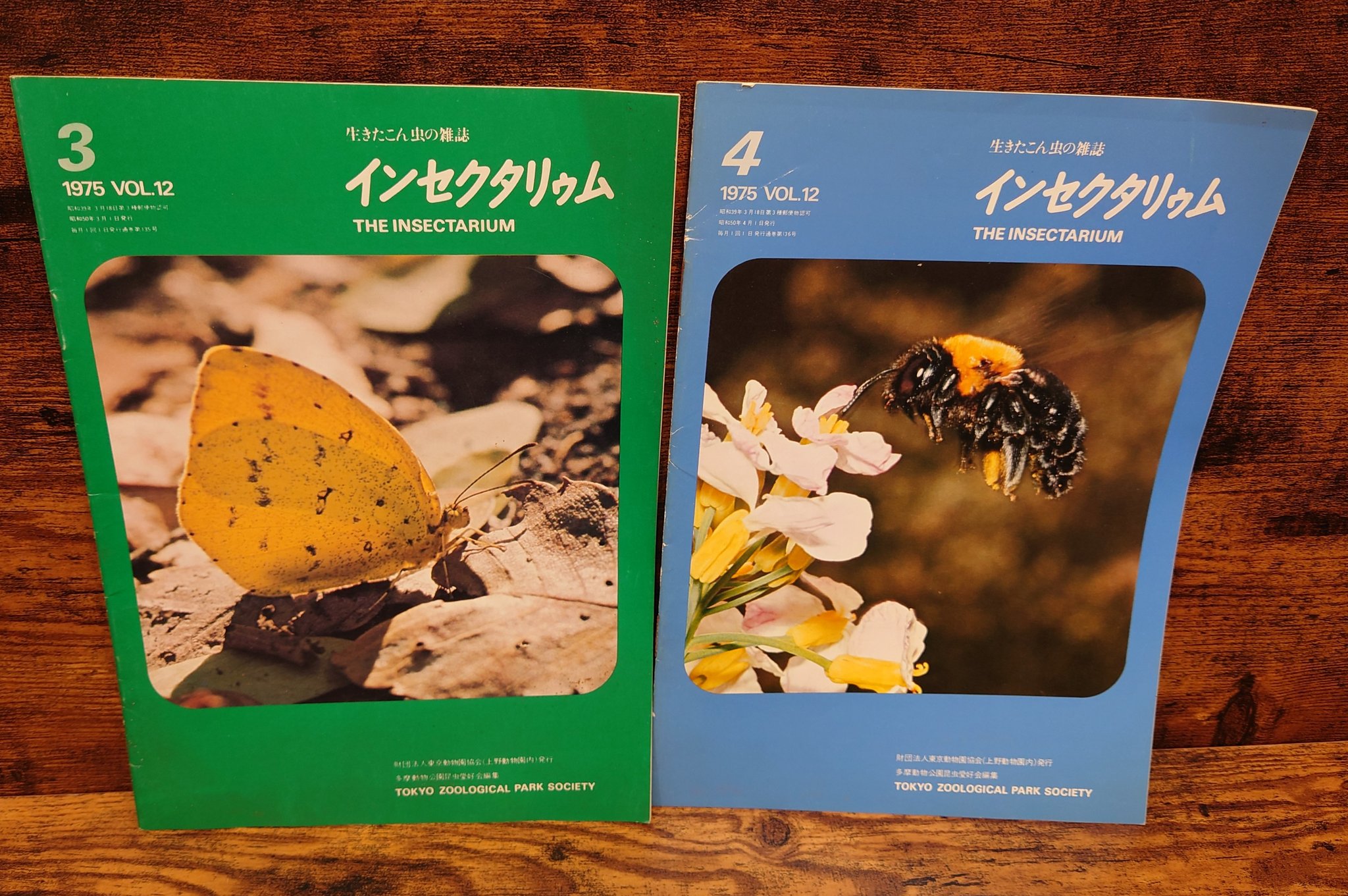 インセクタリウム 多摩動物公園昆虫愛好会誌