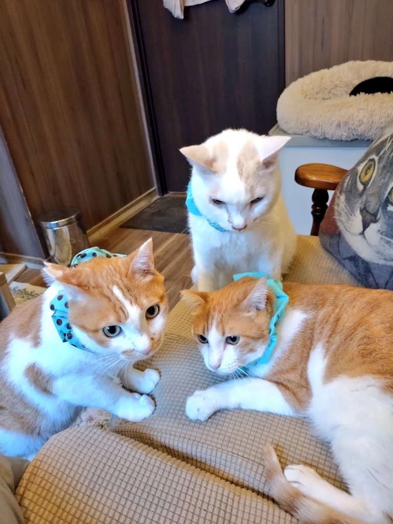 みゆき🍀 tweet media