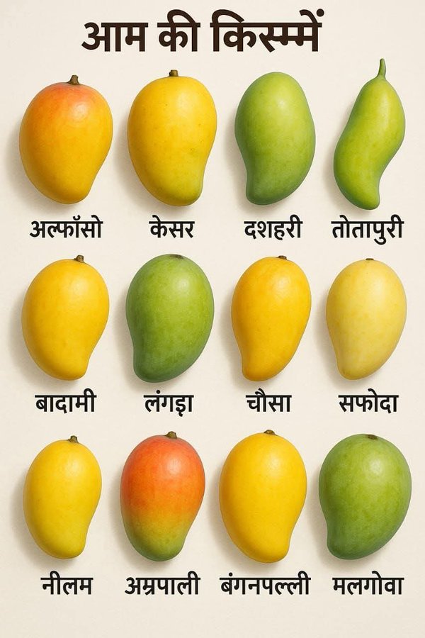 आम, आम है।

#Mango