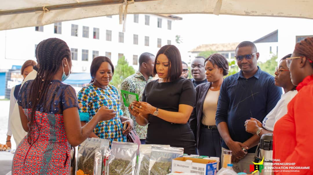 National Entrepreneurship & Innovation Programme tweet media