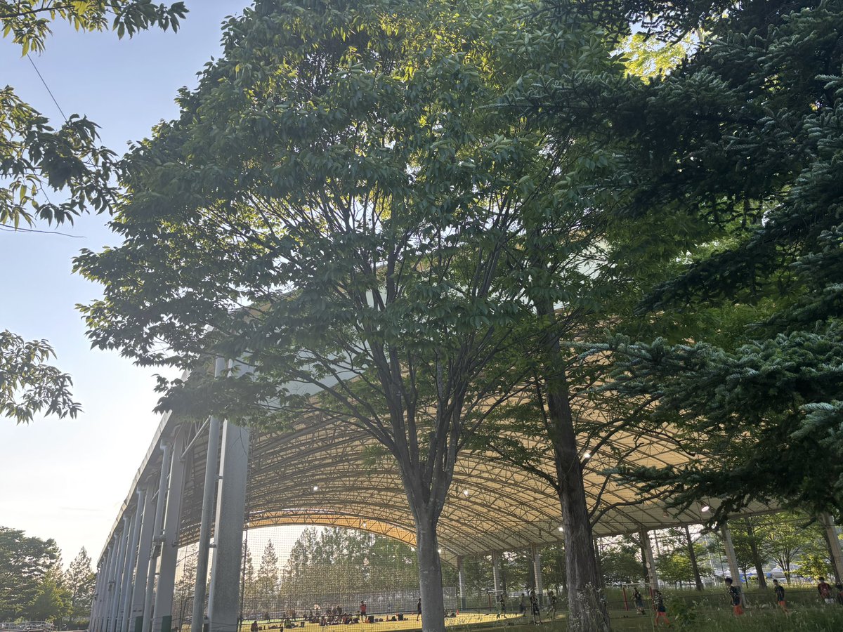 サッカーしてからの酒❗️
効く❗️