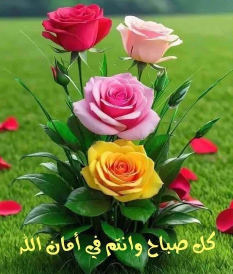 يوم جميل 🌹☕