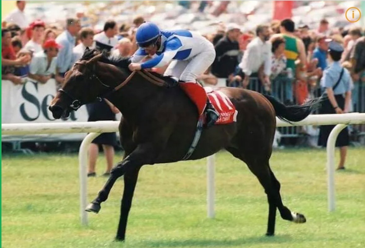 With a jaw-dropping performance, St Jovite defeated Derby hero Dr Devious by 12 lengths in the 1992 Irish Derby, eclipsing the stakes record by 3 full seconds.
His trainer Jim Bolger said: "All he needed was to go right handed on top of the ground, and I'd say he was unbeatable".