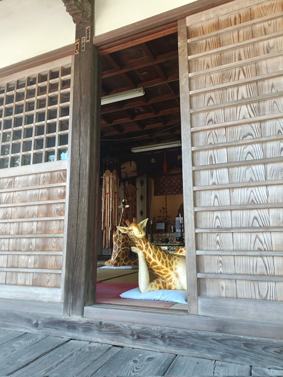 cryingL1fe's tweet image. Did the #henroexperience today! It&apos;s a part of the #shikokupilgrimage. It&apos;s a wonderful experience! 😁 It was my 2nd time and this time we only walked 8km because of heat stroke warnings. We visited 2 temples. Can&apos;t wait to do it again!
 #Japan