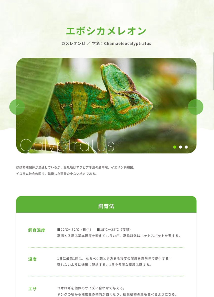 レオレオ@九レプ代表 tweet media