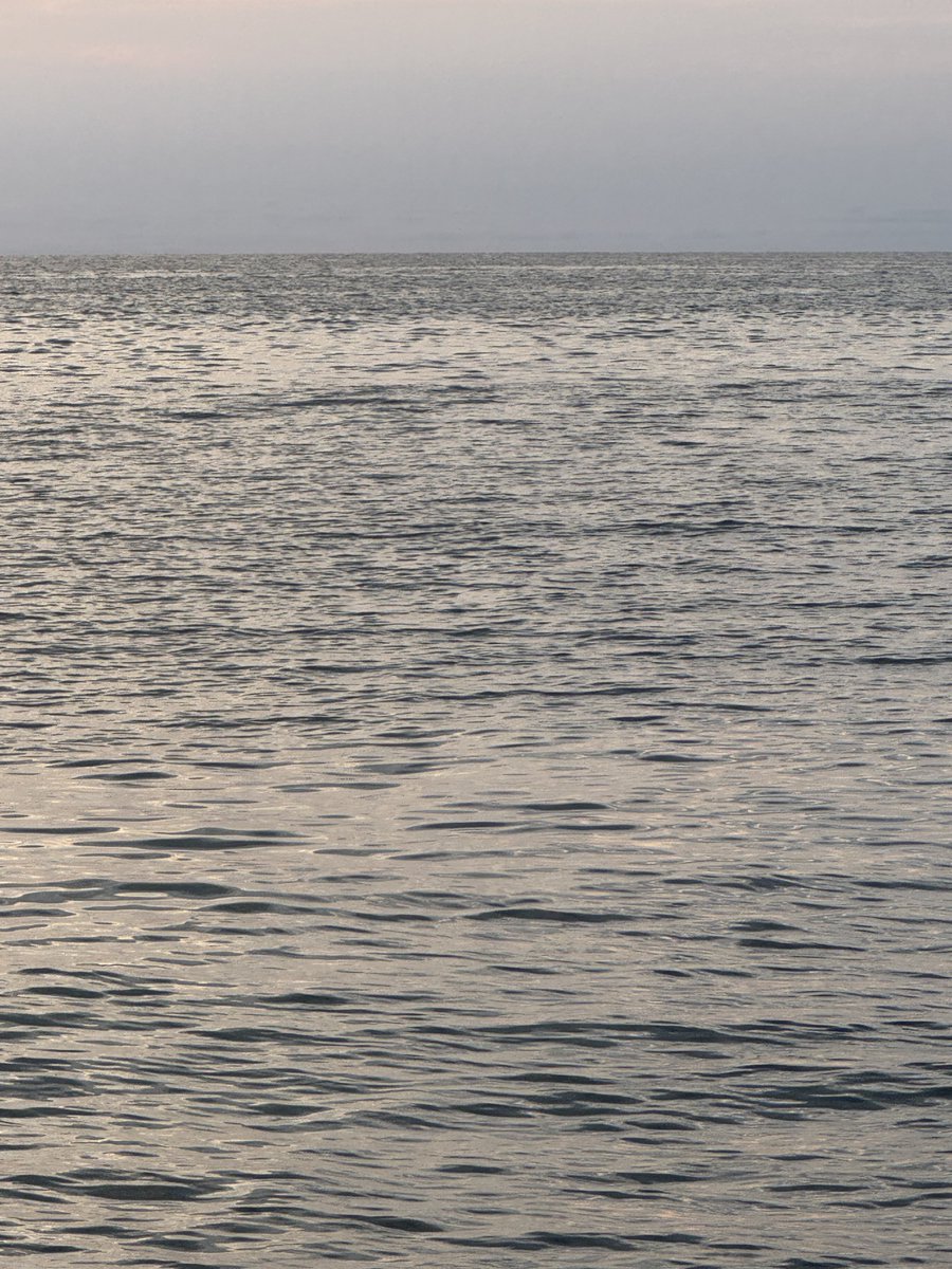 今宵もシーバス祭りの予感しかしない！
19:00なったんで釣行開始🎣