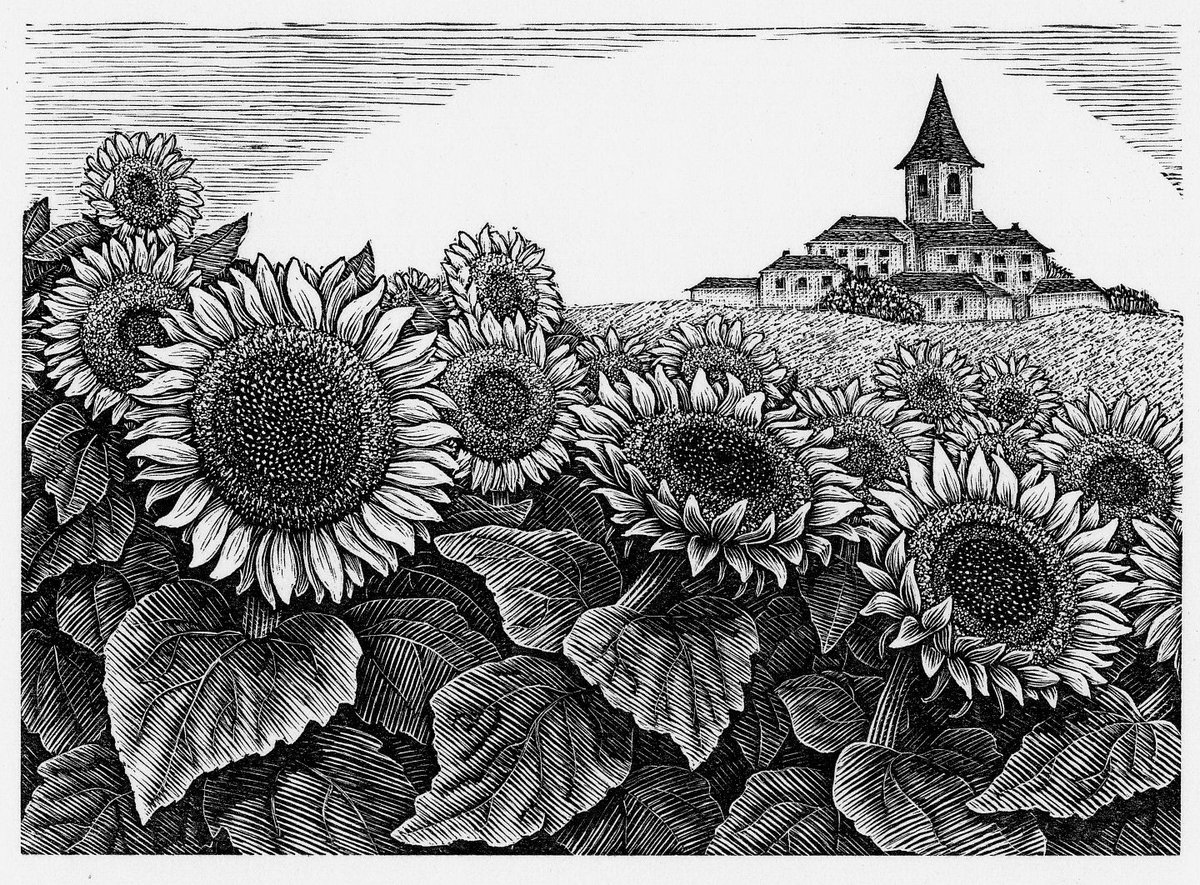 Only 2 weeks left to catch Geri Waddington: Against the Grain – our beautiful selling exhibition of wood engravings, on until 13 July.

#VictoriaArtGallery #AgainstTheGrain #GeriWaddington #WoodEngraving #BathArt #SellingExhibition #2WeeksLeft #ThingsToDoInBath