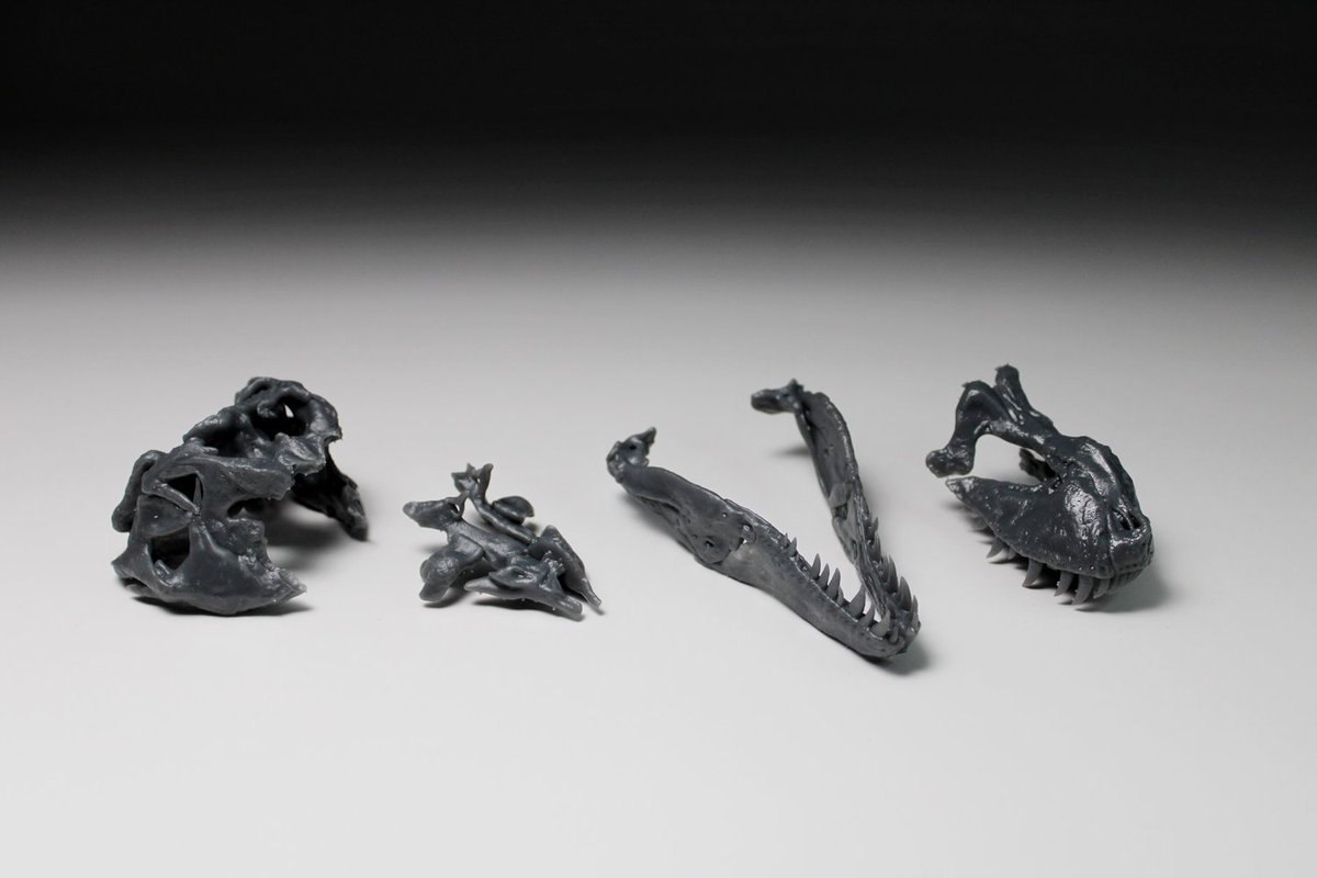 【販売開始しました🦖】
ティラノサウルス・レックス "FMNH PR 2081 Sue" スカルモデル 1/20スケール
恐竜骨格ガレージキット
原型：豊田竜行
フィールド自然史博物館所蔵の「Sue」頭骨モデルです。骨学研究を基に完全再現。

完成品　¥13,500
組立キット　¥3,800（全4パーツ）
全長90ｍｍ/全高70ｍｍ