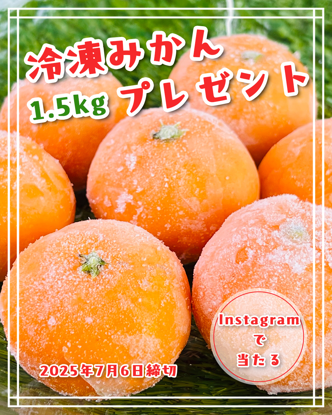 完売 限定 旅行土産✩.*˚ ありがとうございます！ ぽぽぽ (@F636bZh1hN30592) / X