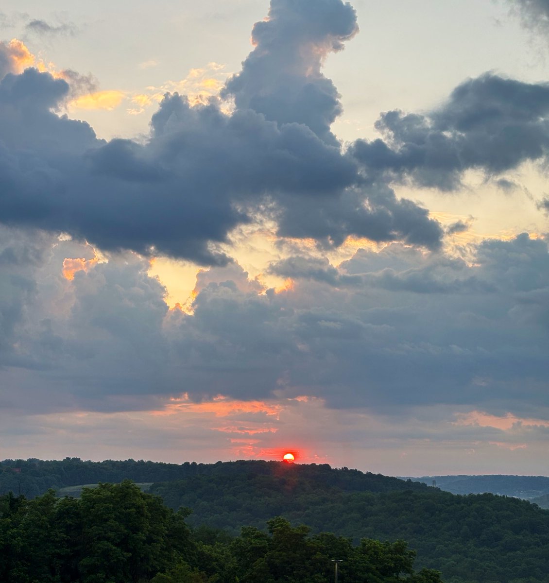 Christy Shields tweet media